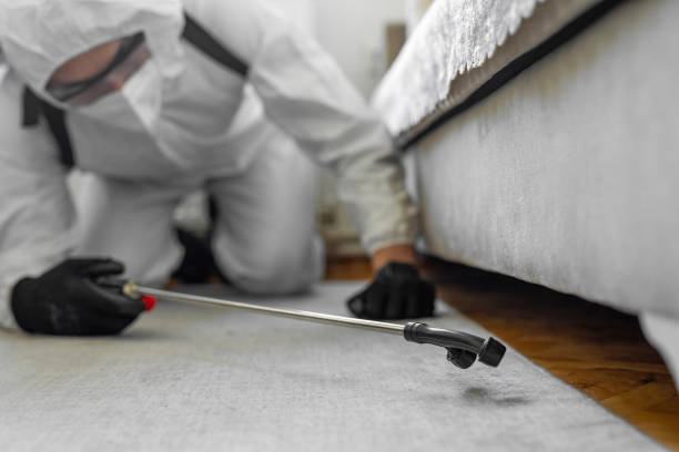 Professional Termite Control technician working in Contoocook, NH
